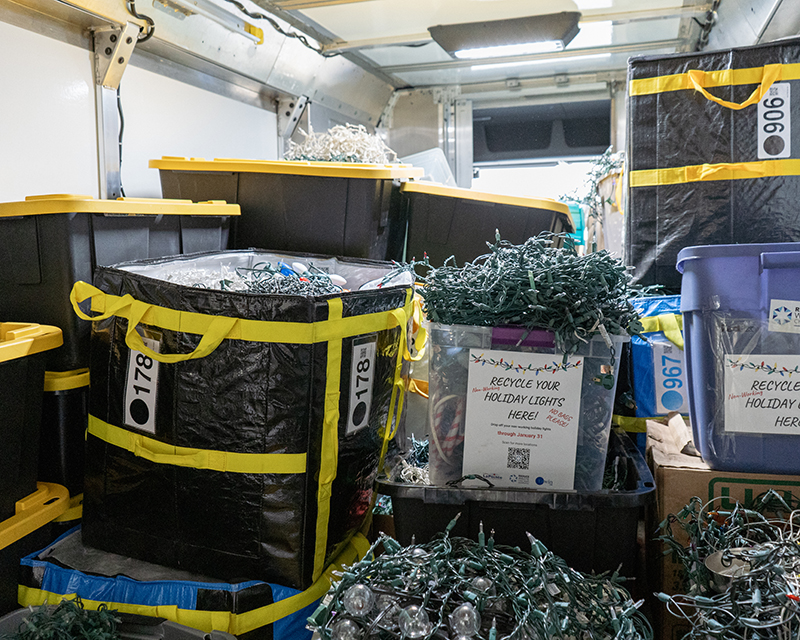 RWC_Light Collection-03297